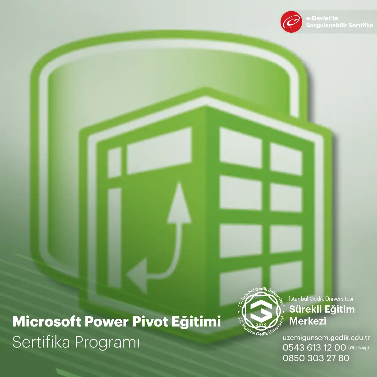 Microsoft Power Pivot Eğitimi 